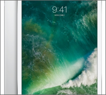 iPad Pro 12.9 第2世代/iPad Pro 10.5